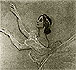 Балерина Анна Павлова. Рисунок М. Добужинского